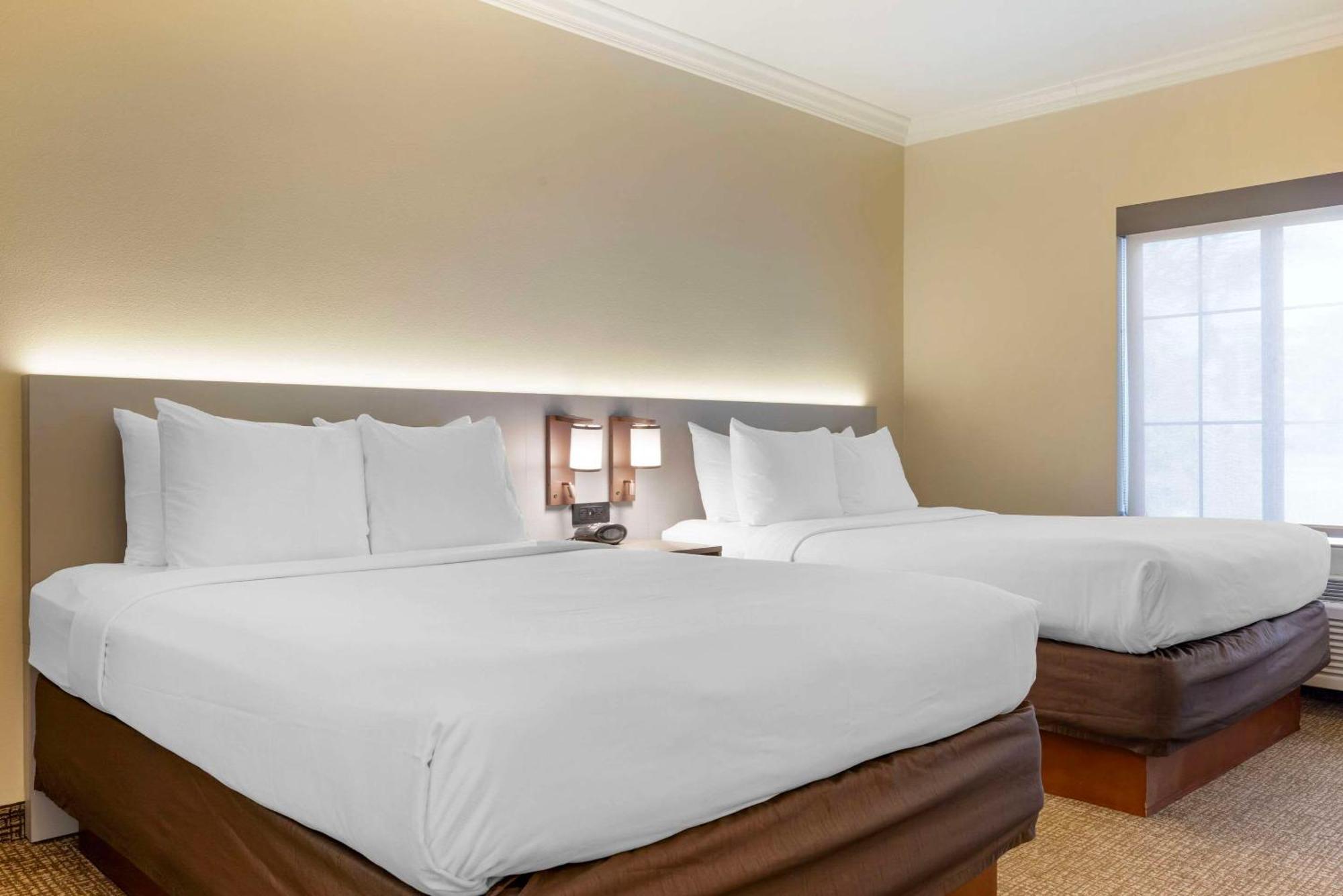 Comfort Suites Oceanside Camp Pendleton Area Zewnętrze zdjęcie